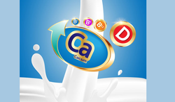 123-ca-vitD-osteoporose-11-18.png