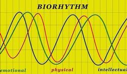 123-curve-bioritme-06-15.jpg