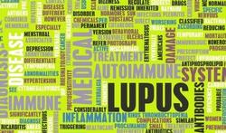 123-txt-lupus-groen-04-16.jpg