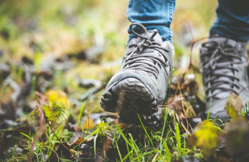 123-wandelen-schoenen-boots-bos-07-17.jpg