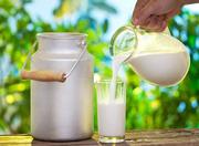 Fotolia-rauwe-verse-melk-09-03.jpg