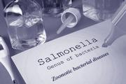 salmonella Fotolia_txt-salmonella-09-15.jpg