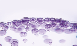 Image_Revita_250x150_5.png