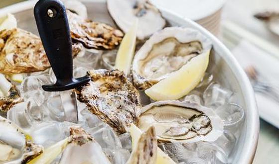 Zijn Oesters Gezond Gezondheid Be