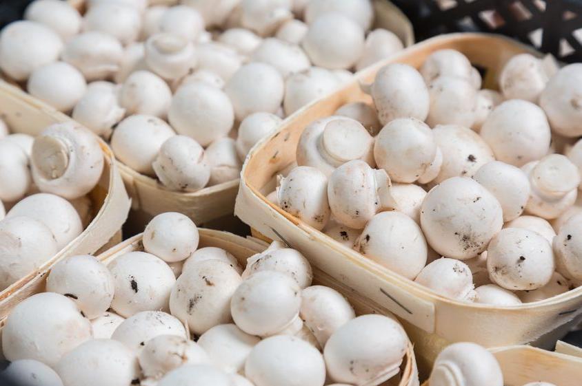 f-123-witte-champignons-03-18.jpg