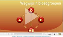 video-bloedgroepen-expl.jpg