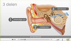 video-implant-expl.jpg