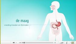 video-maag-expl.jpg