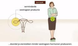 video-menopauze-youtube.jpg