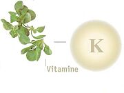 vitamine-K.jpg
