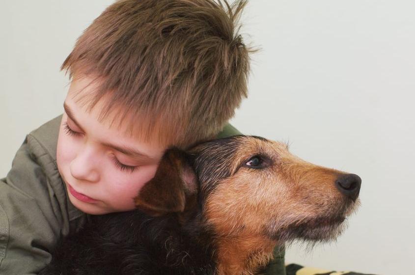 Perte du0027un animal : comment consoler son enfant ?  PassionSant�.be