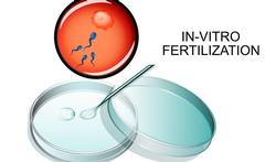 In-vitrofertilisatie: een moeilijk parcours met risico’s op discriminatie