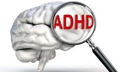 Bij ADHD vijf hersengebieden iets kleiner