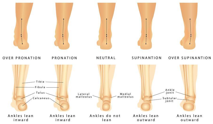 123-anatomie-afw-voetstand-pronatie-supinatie-09-19.jpg