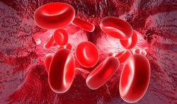 123-bloed-cellen-hypertensie-11-2.jpg
