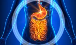 Digestion difficile : causes, symptômes et traitements