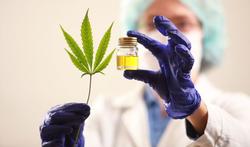 Cannabisolie nu vrij verkrijgbaar in apotheken