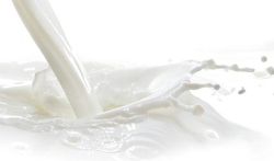 Intolérance au lactose : de quoi s'agit-il ?
