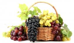 Connaissez-vous les multiples vertus du raisin ?