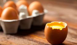 Manger des œufs tous les jours : aucun risque pour la santé