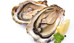 Wat betekenen de nullen of cijfers op de verpakking van oesters?