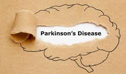 Waarom bessen en rode wijn de ziekte van Parkinson kunnen vertragen