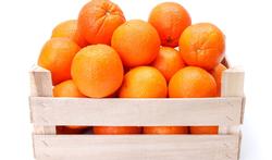 Hoe bewaar je sinaasappelen?