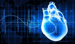 123-hartziekten-ekg-risico-09-17.jpg