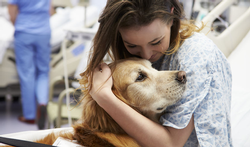 Vormen van psychotherapie: wat is dierentherapie?