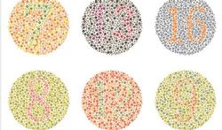 Kleurenblindheid of gestoord kleurenzicht