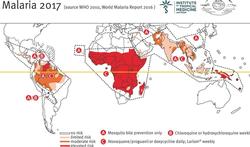 Wat je moét weten over malaria