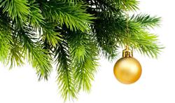 Hoe help je je kerstboom om zijn naalden vast te houden?