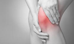 Arthrose du genou : la thérapie par cellules souches