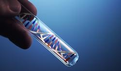 Test ADN : ce qu'il révèle sur vous 