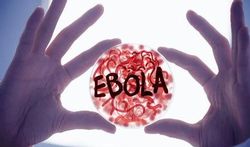 Belgische ebola-site voor burger en gezondheidsprofessional