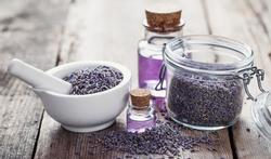 Lavendel- en theeboomolie werkt als hormoonverstoorder