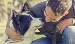 Hondenbezitters hebben minder hart- en vaatziekten