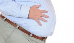 Vidéo - Obésité : le rôle des bactéries intestinales