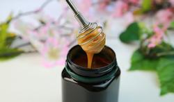 Le miel de manuka : une arme contre les infections