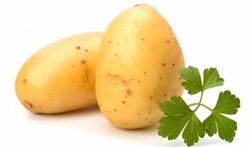 Comment conserver les pommes de terre ?