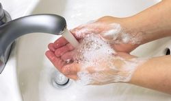 Comment le savon détruit-il les virus sur les mains ?