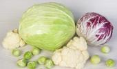 Ces légumes qui protègent l’estomac
