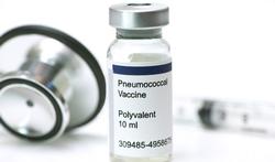 De pneumokok: een gevreesde bacterie