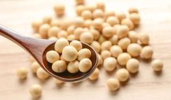 Helpen sojaproducten het risico op prostaatkanker te verkleinen?
