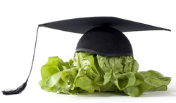 Studeren en voeding: wat kan je best eten tijdens de examens?