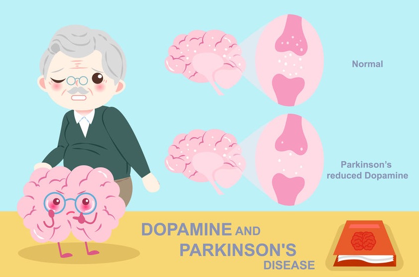123-tek-parkinson-dopamine-hers-03-19.png