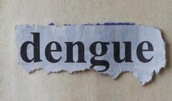 Gevaar voor dengue-epidemie tijdens WK Brazilië