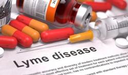 Langdurig antibioticagebruik geen voordeel bij langdurige klachten Lyme