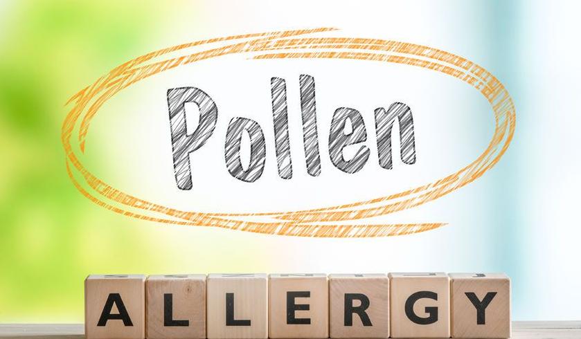 123-txt-pollen-allergie-05-17.jpg
