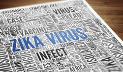 123-txt-zika-virus-04-16.jpg